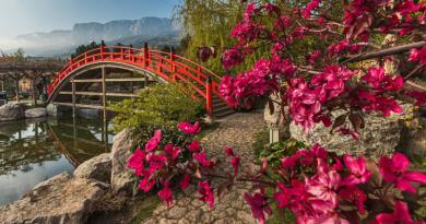 Экскурсии в `Японский сад "Шесть чувств" в отеле "Мрия"` из Симеиза