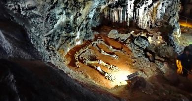Экскурсия из Симеиза: Пещеры Мраморная и Эмине-Баир-Хосар фото 7206