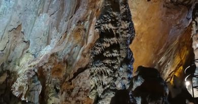 Авто-пешеходная экскурсия из Симеиза (фото 12)