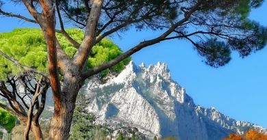 Авто-пешеходная экскурсия из Симеиза (фото 25)