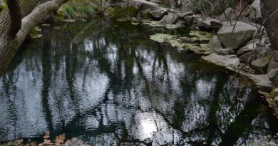 Авто-пешеходная экскурсия из Симеиза (фото 24)
