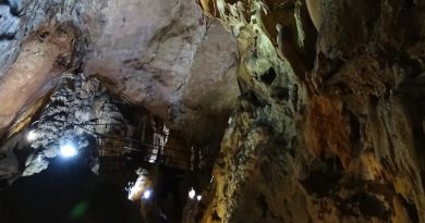 Авто-пешеходная экскурсия из Симеиза (фото 18)