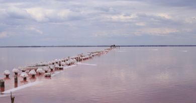 Экскурсии в Озеро Сасык-Сиваш (розовое озеро) из Симеиза 2024