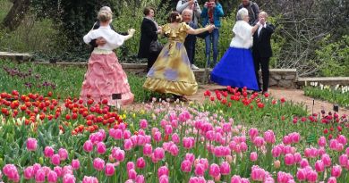 Авто-пешеходная экскурсия из Симеиза (фото 17)