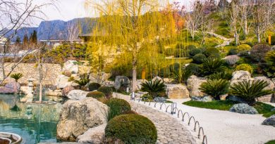 Экскурсии в Японский сад "Шесть чувств" в отеле "Мрия" из Симеиза 2024