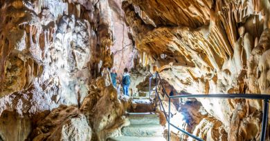 Экскурсии в Скельская пещера из Симеиза 2024