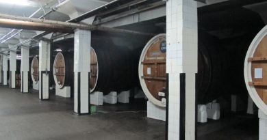 Экскурсия Марка "Массандра" фото 5804 Экскурсия Марка "Массандра" фото 5804